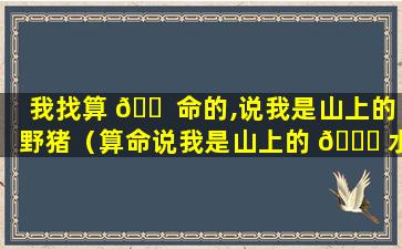 我找算 🐠 命的,说我是山上的野猪（算命说我是山上的 🐒 水）